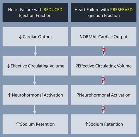 mild lv systolic dysfunction ef 45|preserved vs reduced ejection fraction.